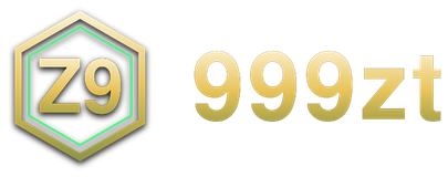 999zt logo